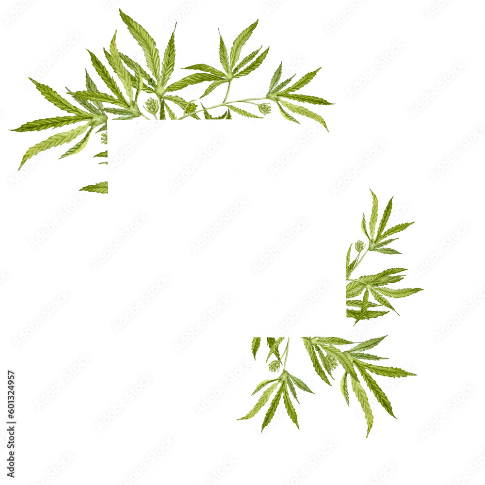frame, cannabis in the form of a frame, cannabis in watercolor, twigs, cannabis leaves in watercolor frame, cannabis in the form of a frame, cannabis in watercolor, twigs, cannabis leaves in watercolor