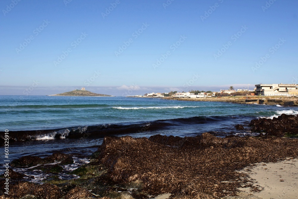 evocative image of a sandy beach with algae and the headland
in the background in Sicily
