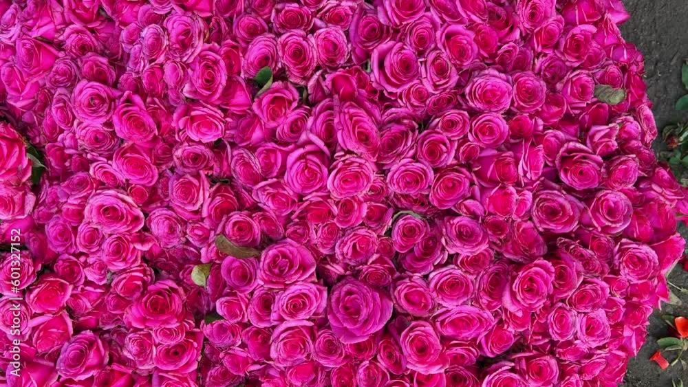 A shot of a large bunch of beautiful little pink roses A shot of a large bunch of beautiful little pink roses