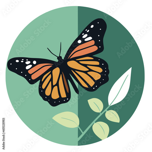 butterfly illustration