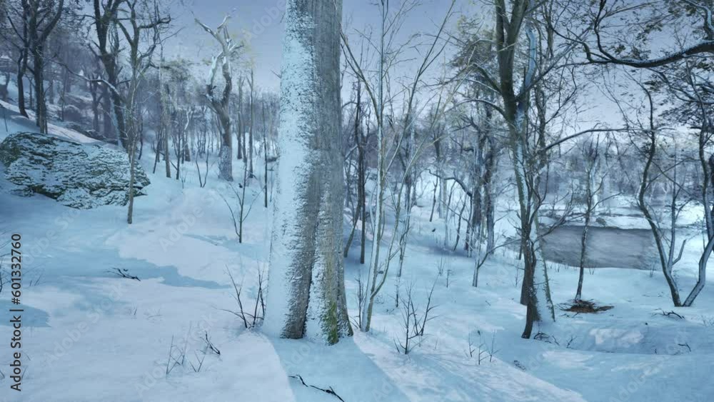 winter landscape in a pine forest the sun shines through the trees winter landscape in a pine forest the sun shines through the trees