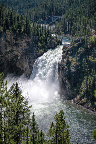 Upper falls in Yellowstone national park