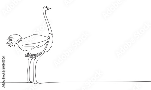 Hand drawn ostrich isolated on white background. Line art bird. One line continuous ostrich. Outline vector illustration.
