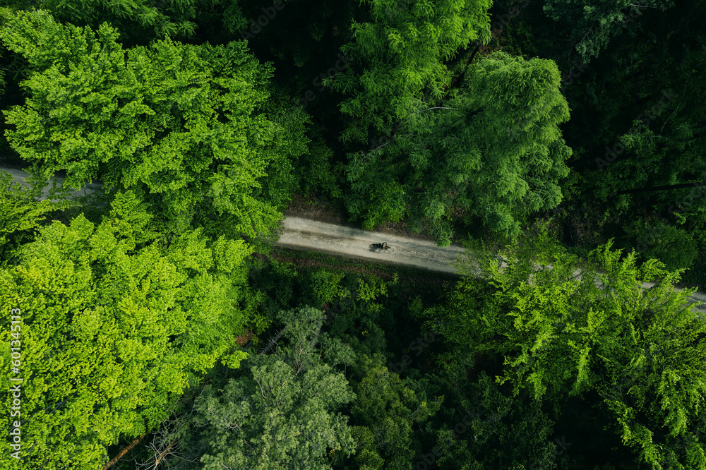 Man on mtb bike ride trough lush forest at spring, aerial drone view