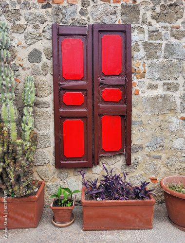 Red window and flowers