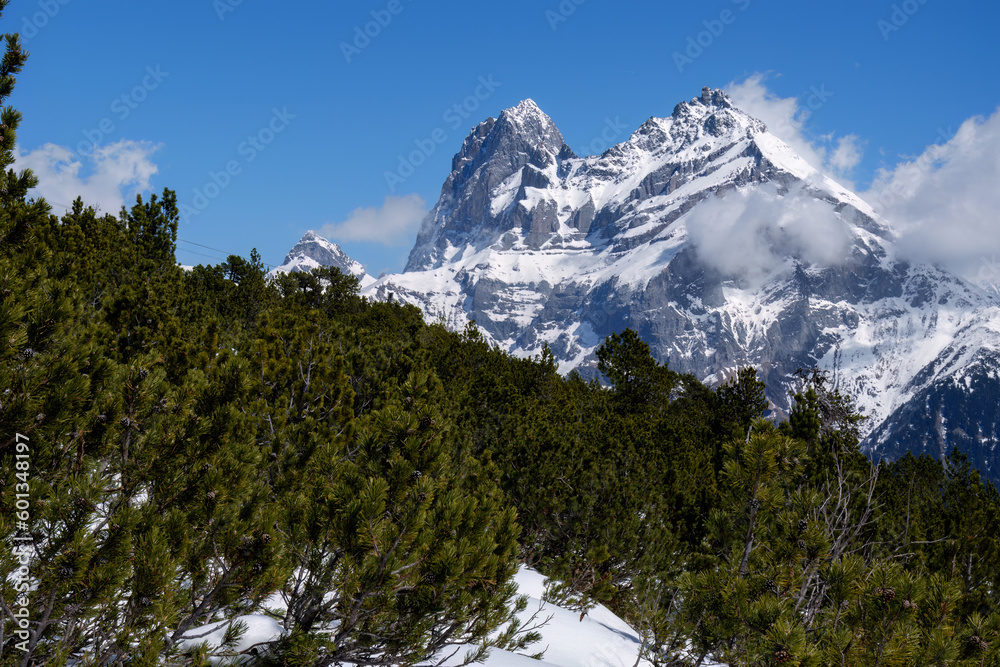 View of Alpine landscape with fir trees. Springtime landscape, snowcapped mountains with cloudscape, blue sky, sunny day. Snowy mountain peaks in Swiss Alps, Canton Uri.