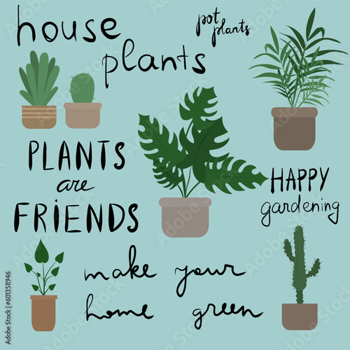 Home plant in pot, cute flat cartoon illustration