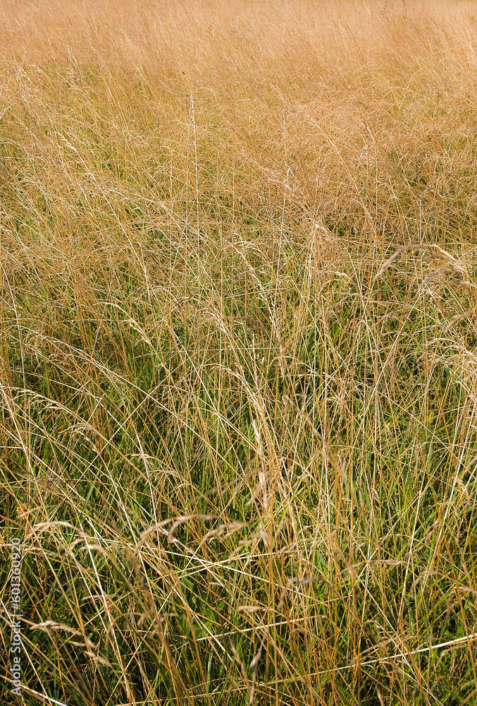 Fototapeta premium Thomas Stone National Historic Site/Haberdeventure in Maryland