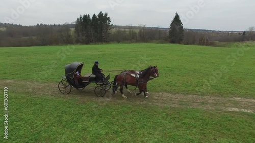 An old horse-drawn carriage rides along a village road among green fields and forests. A carriage with two horses. Aerial view