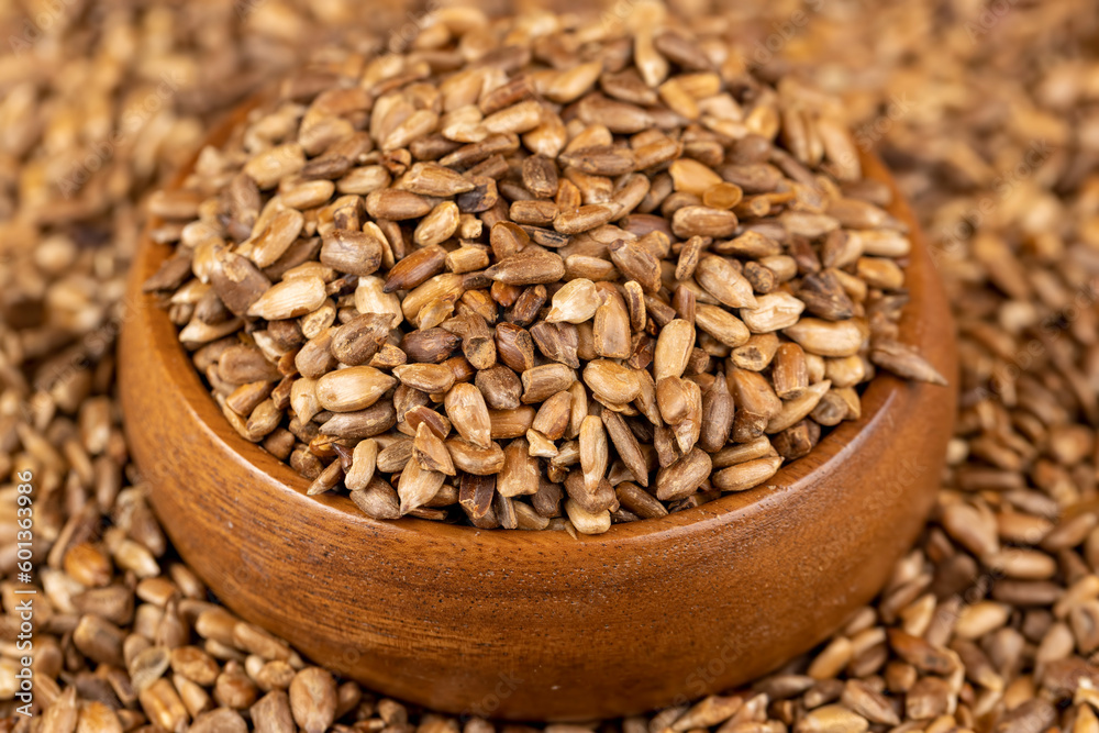 heavily fried sunflower seeds close up heavily fried sunflower seeds close up