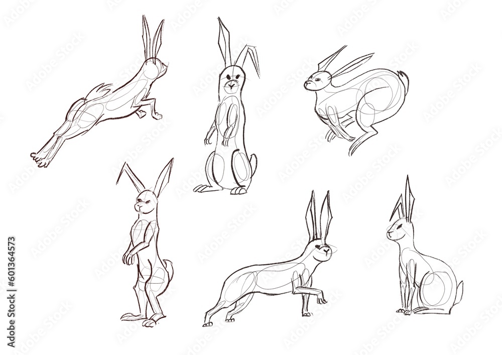 Obraz premium Rabbits in different poses illustration