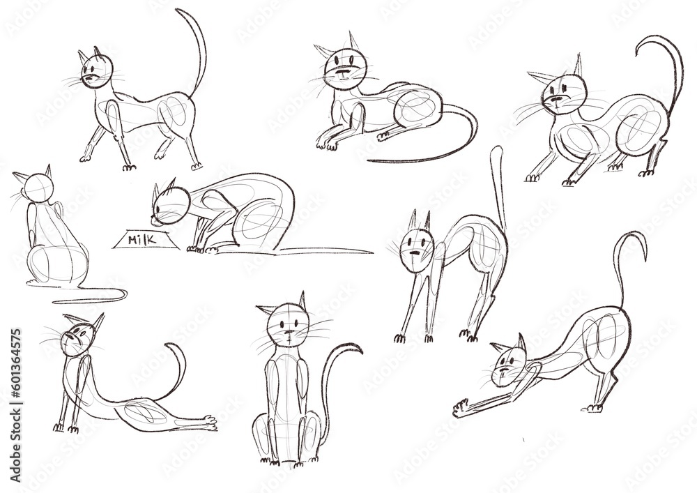 Cats in different poses illustration