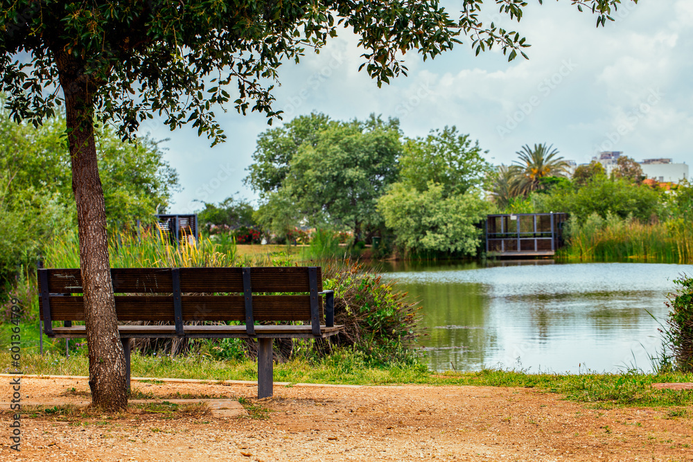 Ariel Sharon Park nature background