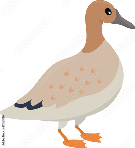 Cute cartoon duck. Vector isolated on white background.