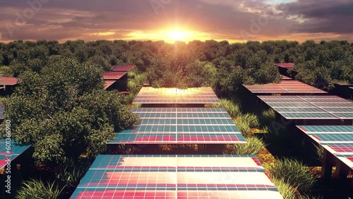 Solar farm in the forest, 3d animation.