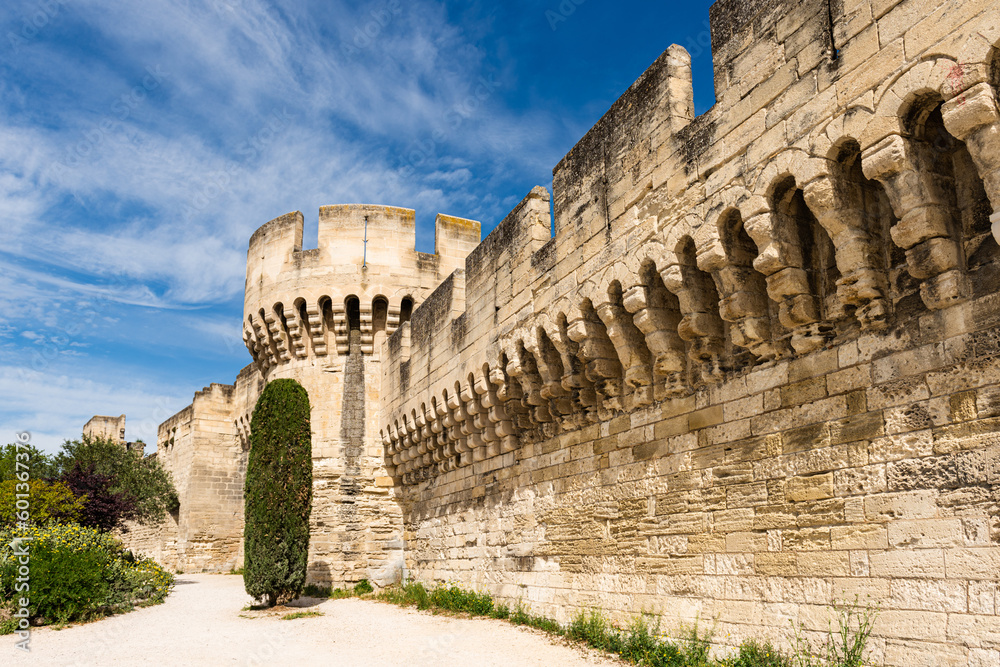 Medieval City Wall of Avignon, France