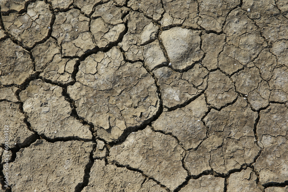 Climate warming dry chapped land Climate warming dry chapped land