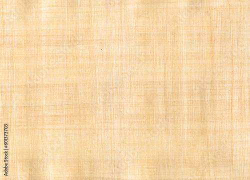 Old papyrus background texture