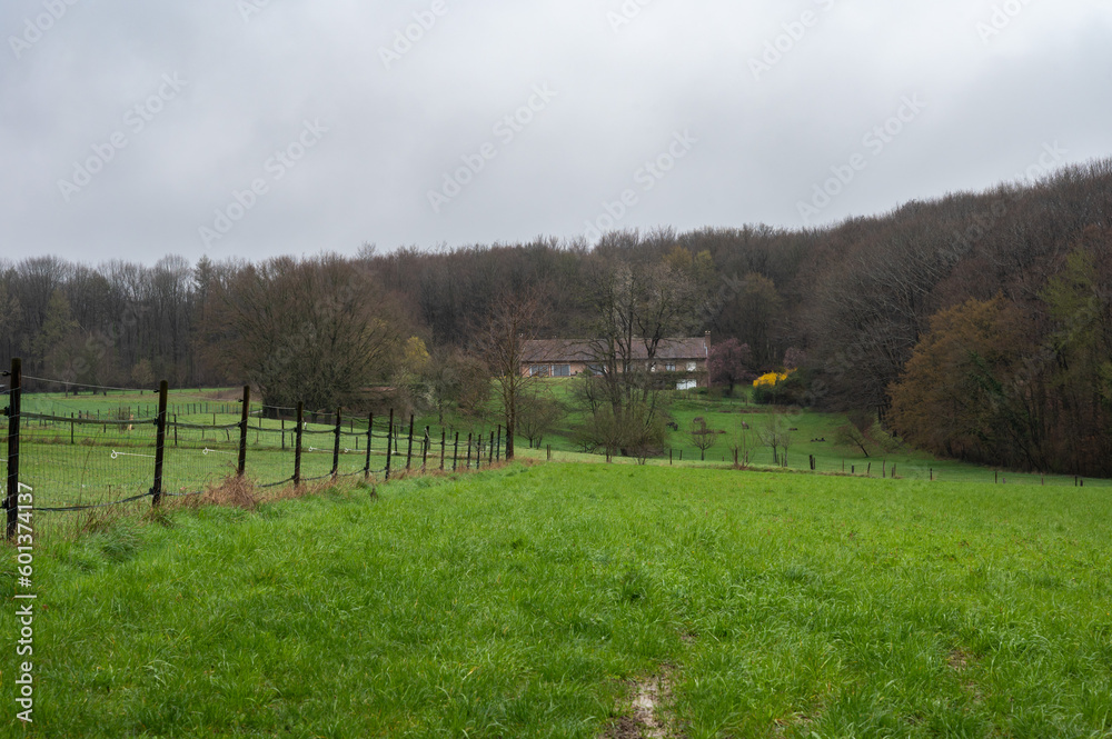 Trees and green meadows at the Flemish countryside around Bertem, Flemish Brabant, Belgium