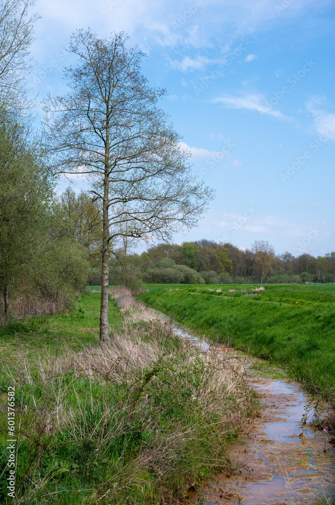 The Grote Nete river through green lawns around Westerlo, Belgium The Grote Nete river through green lawns around Westerlo, Belgium