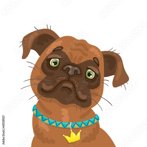 Petit Brabancon. Portrait of a cute Belgian griffin dog wearing a beautiful collar with a crown. In cartoon style. Isolated on white background. Vector flat illustration.