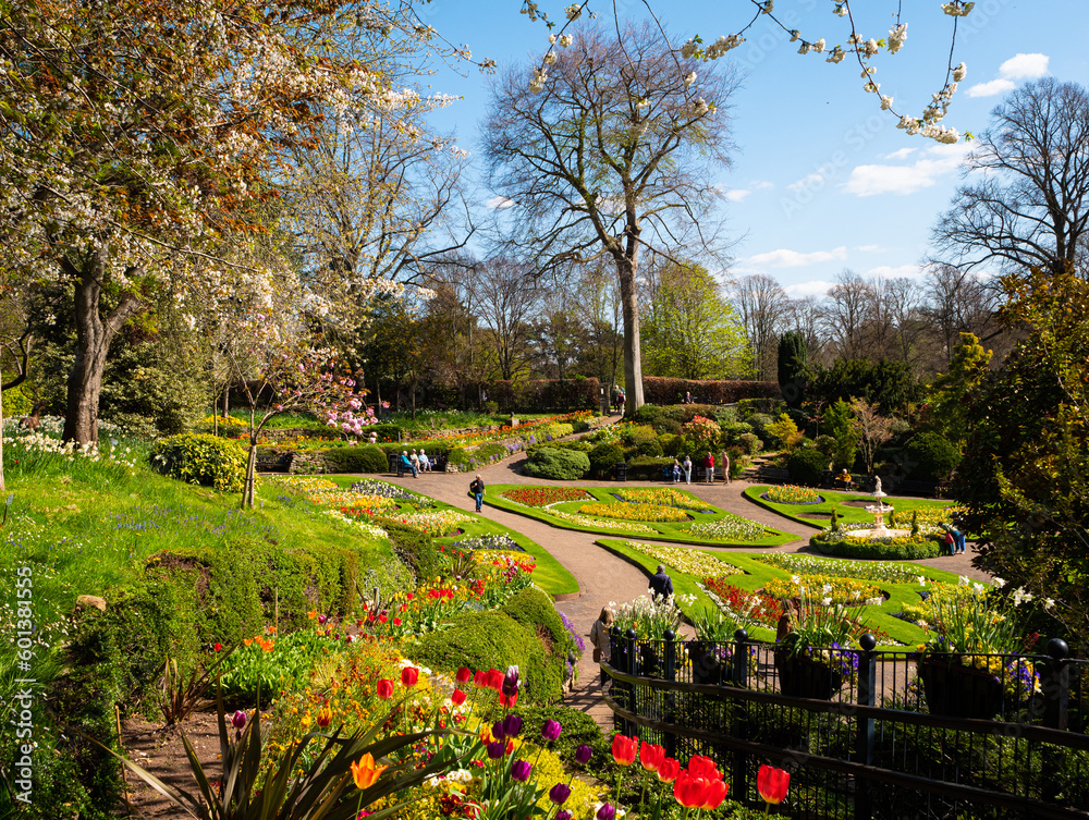 Vibrant colourful flower beds, trees and shrubs in the beautifully landscaped sunken Dingle Garden in Quarry Park, Shrewsbury, UK. 