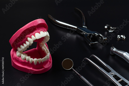 Layout of a human jaw with the clamps, the rubber dam forcep and the dental hole punch