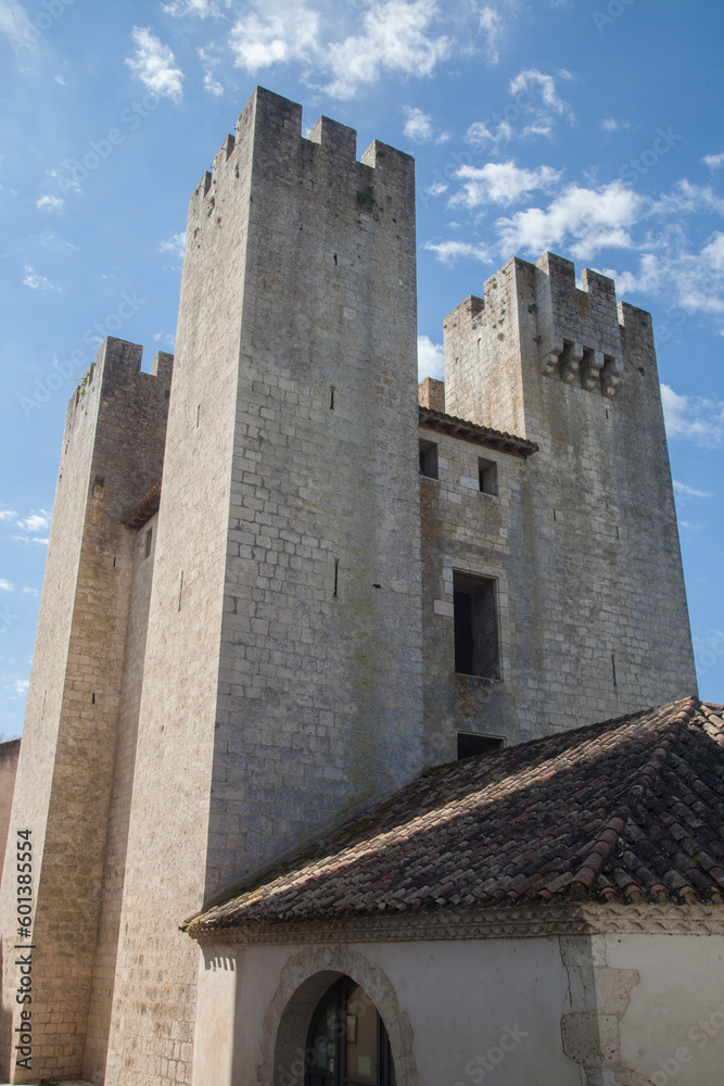 Les tours du moulin fortifié de Barbaste (Lot-et-Garonne)