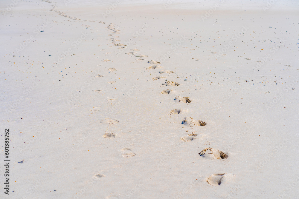 Sandy beach with footprints at the morning Sandy beach with footprints at the morning