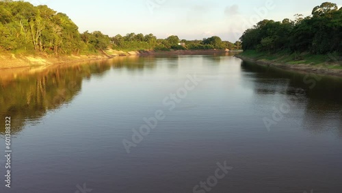 Boto Rosa da Amazônia.  photo