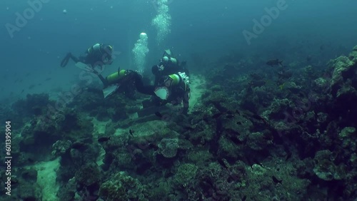 Wallpaper Mural Isla Del Coco, January 4, 2018: Beautiful view of group divers and bubbles underwater in Isla Del Coco. Caves, cliffs, and coral reefs are all incredibly beautiful and diverse habitats. Torontodigital.ca