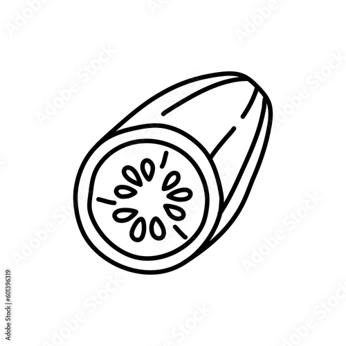 Cucumber vector doodle drawing icon. Vegetable in retro style, outline illustration of farm product for design advertising products shop or market.