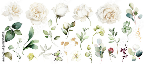 white watercolor arrangements with flowers  set  bundle  bouquets with wildflowers  leaves  branches. Botanical illustration