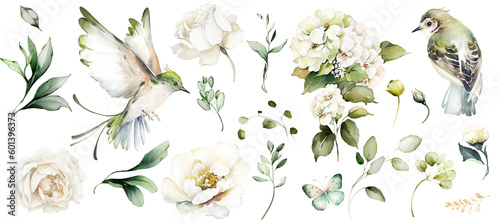 white watercolor arrangements with flowers, set, bundle, bouquets with wildflowers, leaves, branches. Botanical illustration