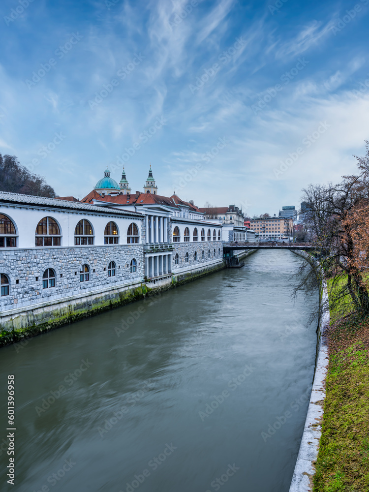 Vertical shot of Ljubljana river and riverside historic buildings with blue sky white clouds, Ljubljana, Slovenia