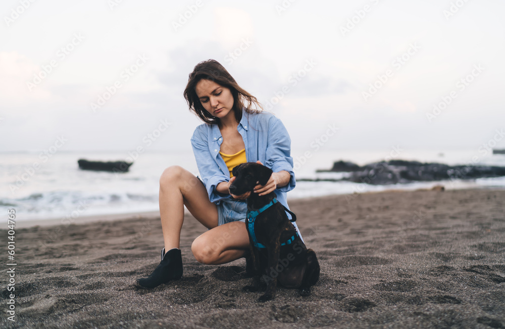 Calm woman sitting on sandy beach with dog Calm woman sitting on sandy beach with dog