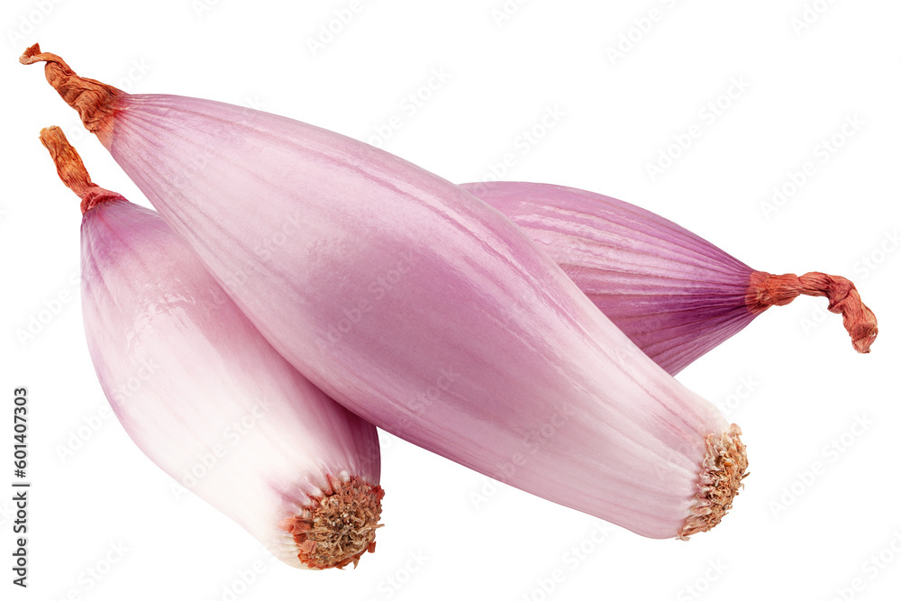 onion, shallot, isolated on white background, full depth of field onion, shallot, isolated on white background, full depth of field