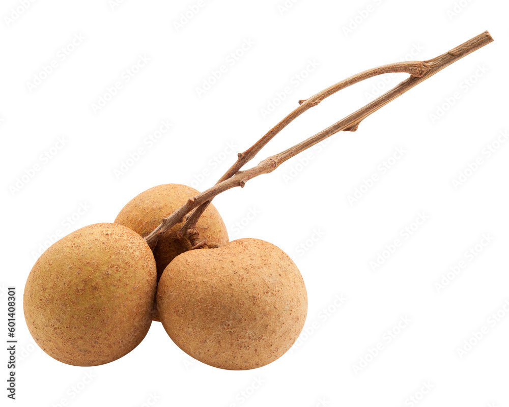 longan, isolated on white background, , full depth of field longan, isolated on white background, , full depth of field