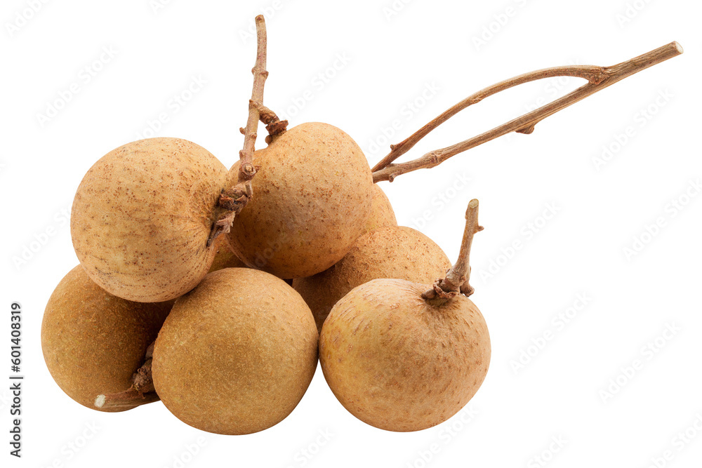 longan, isolated on white background, , full depth of field longan, isolated on white background, , full depth of field