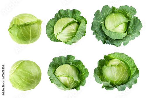 cabbage isolated on white background, full depth of field photo