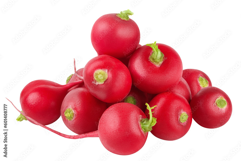 Radish isolated on white background, full depth of field Radish isolated on white background, full depth of field