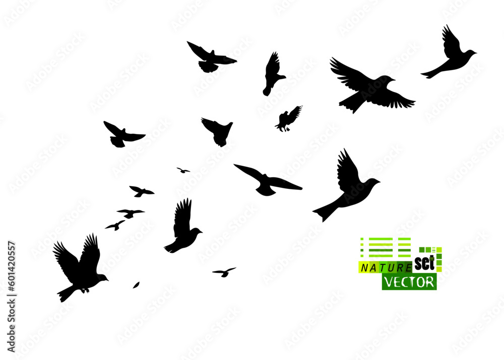 Fototapeta premium A flock of flying birds. Vector illustration