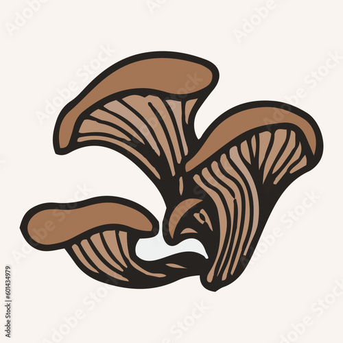 Oyster mushrooms, vector illustration. Hand drawn art of edible mushrooms.