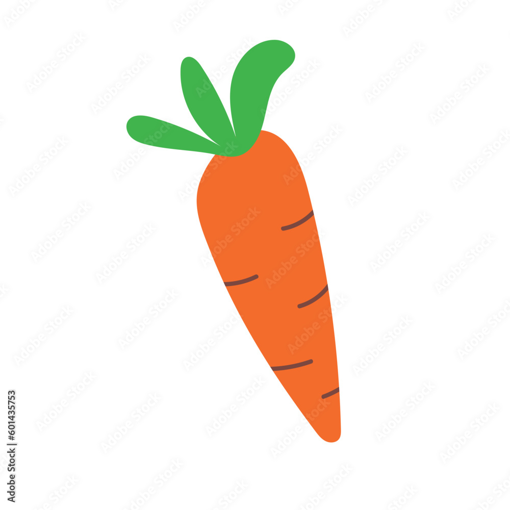 Hand drawn illustration of cute baby carrot isolated on white background Hand drawn illustration of cute baby carrot isolated on white background