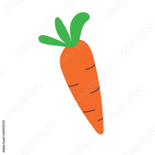 Hand drawn illustration of cute baby carrot isolated on white background