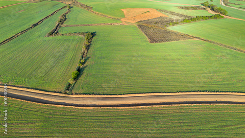Aerial view of a road between crop fields in Burgos province in Spain photo