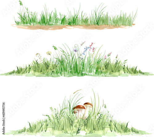 Vector watercolor of green seamless grass, grass border, hand drawn grass borderline illustration, isolated on white background, landscape plan, seamless border with green grass and wildflowers.