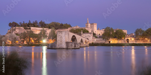 Avignon. Old medieval bridge of St. Benezet across the river Rhone.