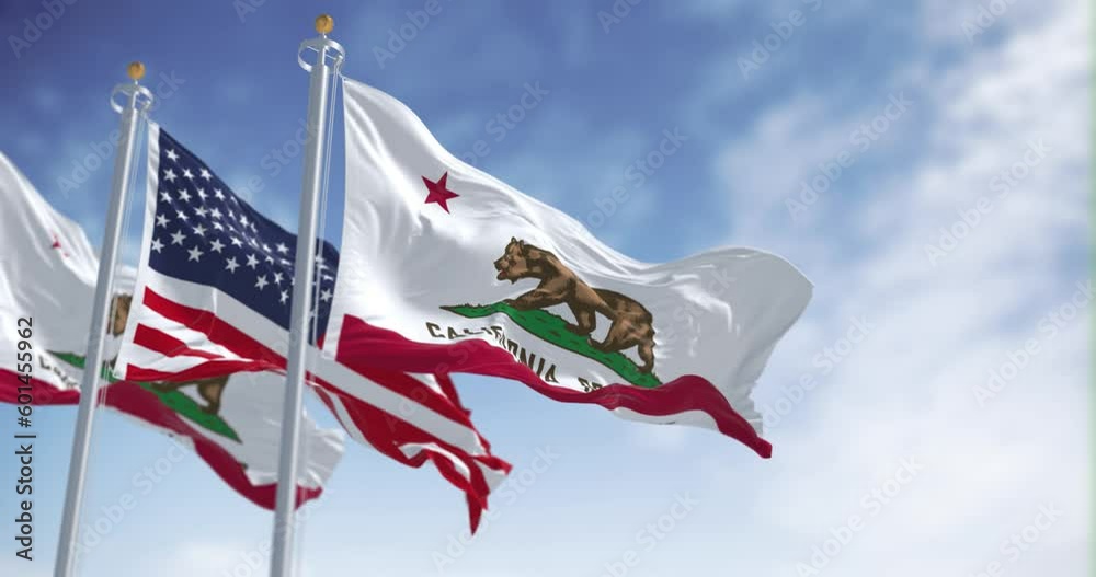 Seamless loop in slow motion of California Republic and US flags waving