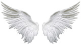 Angel wings isolated on white background , transparent png by ai generative